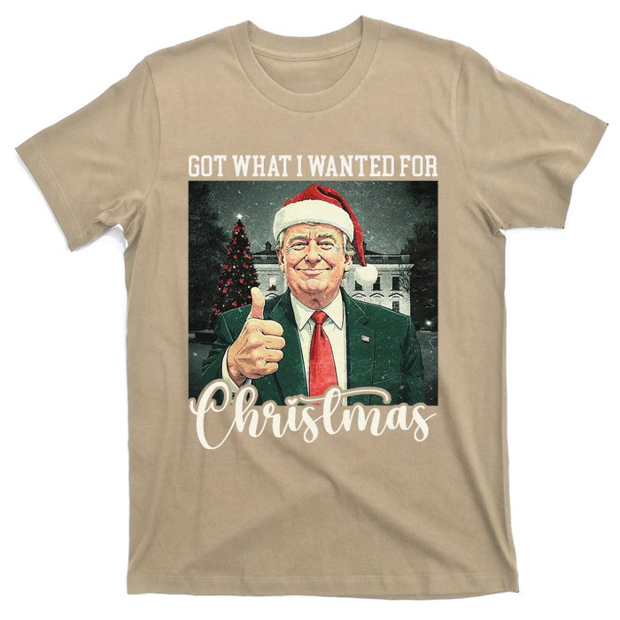 Got What I Wanted For Christmas Santa Trump Won 2024 T-Shirt