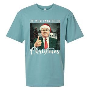 Got What I Wanted For Christmas Santa Trump Won 2024 Sueded Cloud Jersey T-Shirt