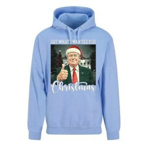 Got What I Wanted For Christmas Santa Trump Won 2024 Unisex Surf Hoodie