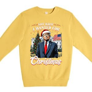 Got What I Wanted For Christmas Trump 2024 Premium Crewneck Sweatshirt