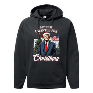 Got What I Wanted For Christmas Trump 2024 Performance Fleece Hoodie