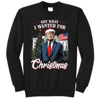 Got What I Wanted For Christmas Trump 2024 Sweatshirt