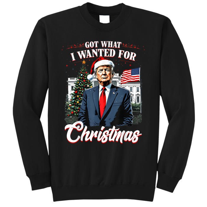 Got What I Wanted For Christmas Trump 2024 Sweatshirt