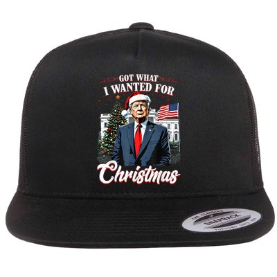 Got What I Wanted For Christmas Trump 2024 Flat Bill Trucker Hat