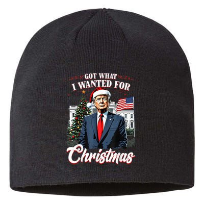 Got What I Wanted For Christmas Trump 2024 Sustainable Beanie