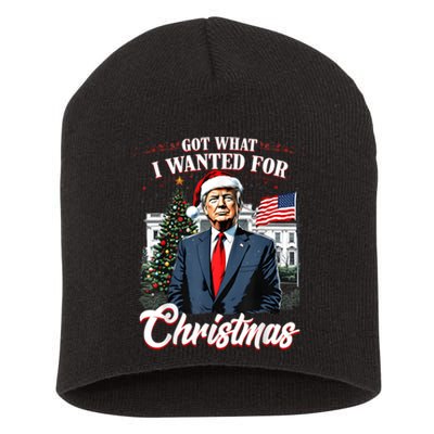 Got What I Wanted For Christmas Trump 2024 Short Acrylic Beanie