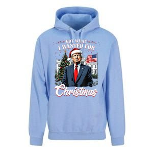 Got What I Wanted For Christmas Trump 2024 Unisex Surf Hoodie