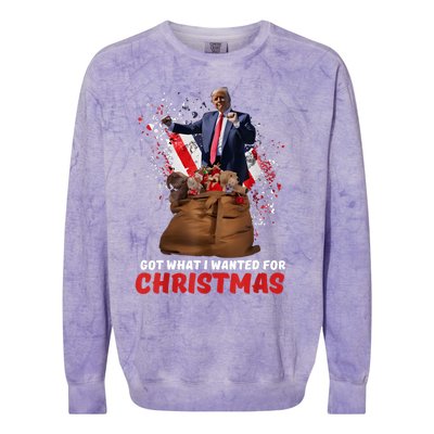 Got What I Wanted For Christmas Trump Won 2024 President Colorblast Crewneck Sweatshirt