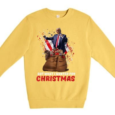 Got What I Wanted For Christmas Trump Won 2024 President Premium Crewneck Sweatshirt