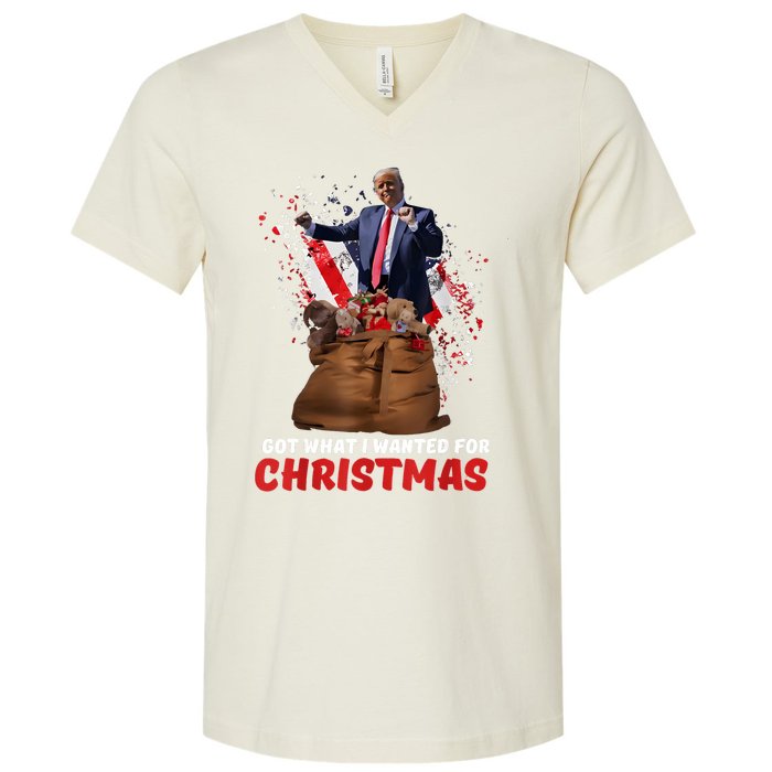 Got What I Wanted For Christmas Trump Won 2024 President V-Neck T-Shirt