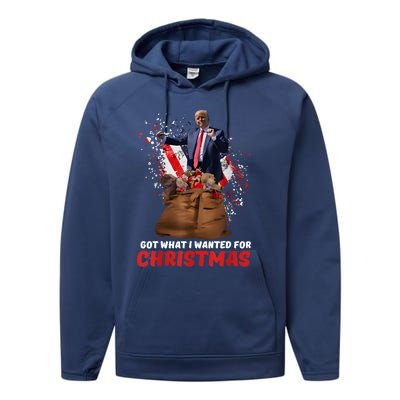 Got What I Wanted For Christmas Trump Won 2024 President Performance Fleece Hoodie