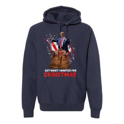 Got What I Wanted For Christmas Trump Won 2024 President Premium Hoodie