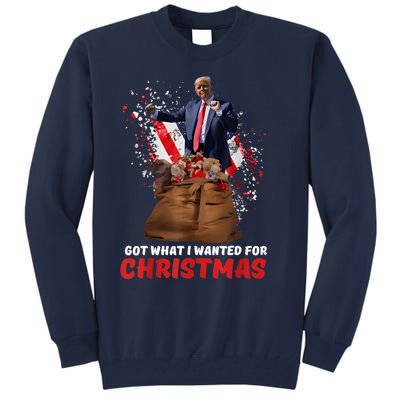 Got What I Wanted For Christmas Trump Won 2024 President Tall Sweatshirt