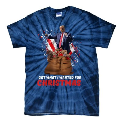 Got What I Wanted For Christmas Trump Won 2024 President Tie-Dye T-Shirt