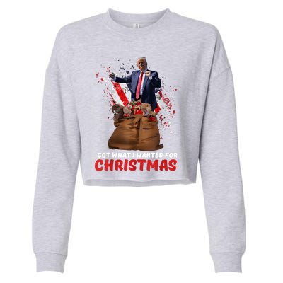 Got What I Wanted For Christmas Trump Won 2024 President Cropped Pullover Crew