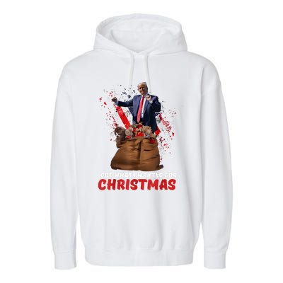 Got What I Wanted For Christmas Trump Won 2024 President Garment-Dyed Fleece Hoodie