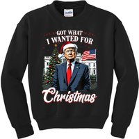 Got What I Wanted For Christmas Trump 2024 Kids Sweatshirt