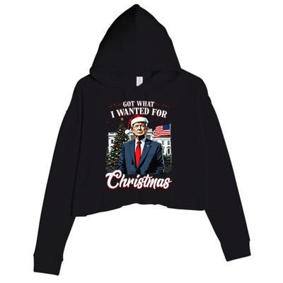 Got What I Wanted For Christmas Trump 2024 Crop Fleece Hoodie