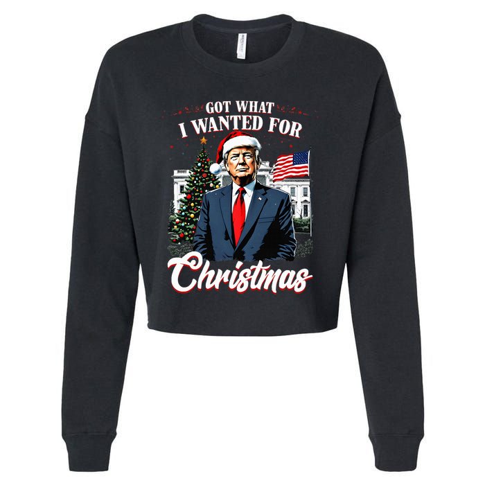 Got What I Wanted For Christmas Trump 2024 Cropped Pullover Crew