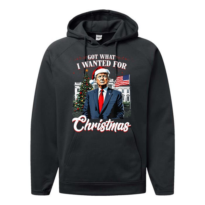 Got What I Wanted For Christmas Trump 2024 Performance Fleece Hoodie