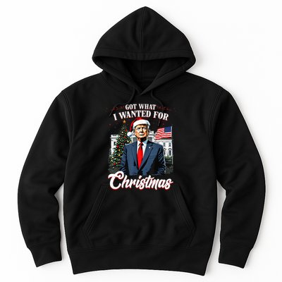 Got What I Wanted For Christmas Trump 2024 Hoodie