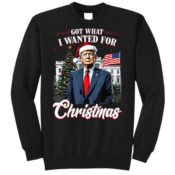 Got What I Wanted For Christmas Trump 2024 Sweatshirt