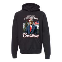 Got What I Wanted For Christmas Trump 2024 Premium Hoodie