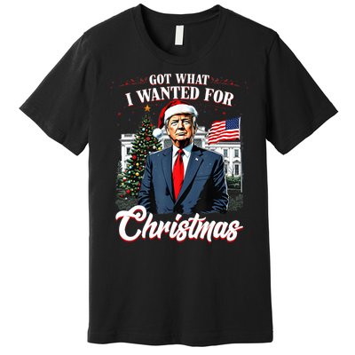 Got What I Wanted For Christmas Trump 2024 Premium T-Shirt