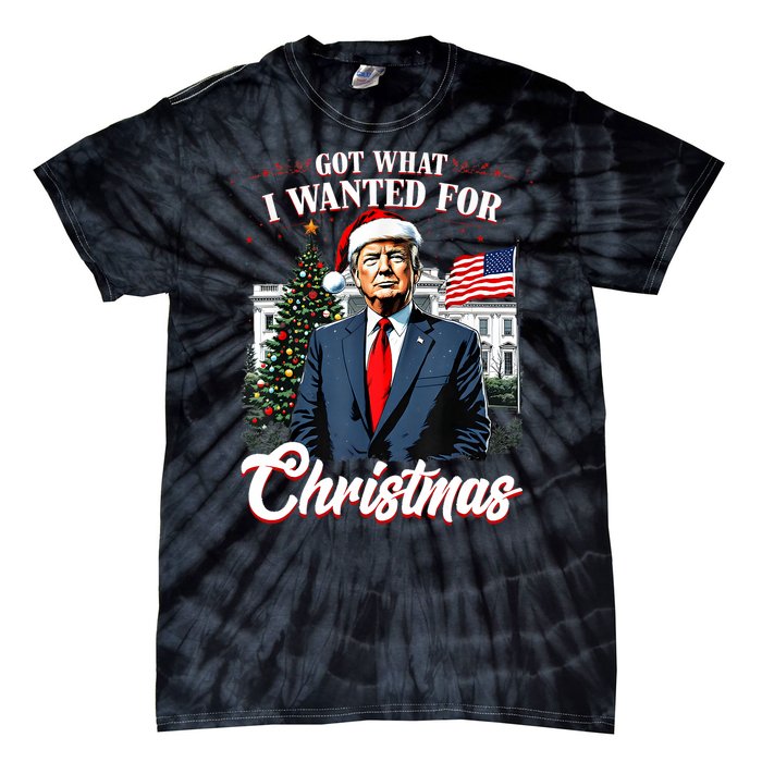 Got What I Wanted For Christmas Trump 2024 Tie-Dye T-Shirt