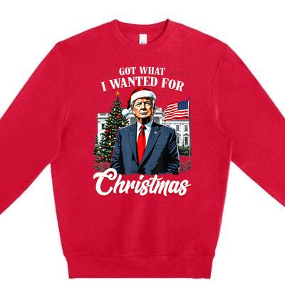 Got What I Wanted For Christmas Trump 2024 Premium Crewneck Sweatshirt