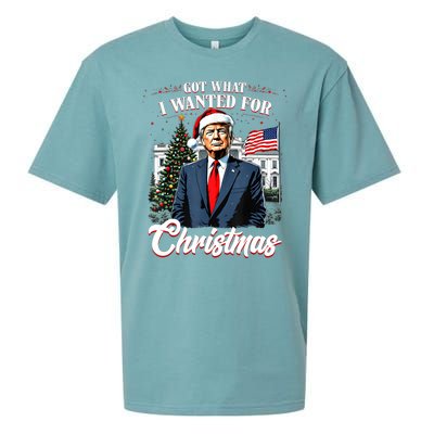 Got What I Wanted For Christmas Trump 2024 Sueded Cloud Jersey T-Shirt