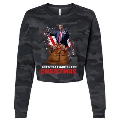 Got What I Wanted For Christmas Trump Won 2024 Cropped Pullover Crew