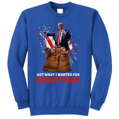 Got What I Wanted For Christmas Trump Won 2024 Sweatshirt