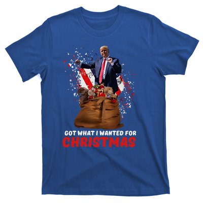 Got What I Wanted For Christmas Trump Won 2024 T-Shirt