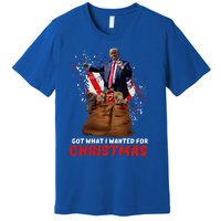 Got What I Wanted For Christmas Trump Won 2024 Premium T-Shirt