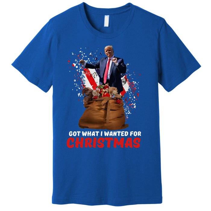 Got What I Wanted For Christmas Trump Won 2024 Premium T-Shirt