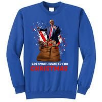 Got What I Wanted For Christmas Trump Won 2024 Tall Sweatshirt