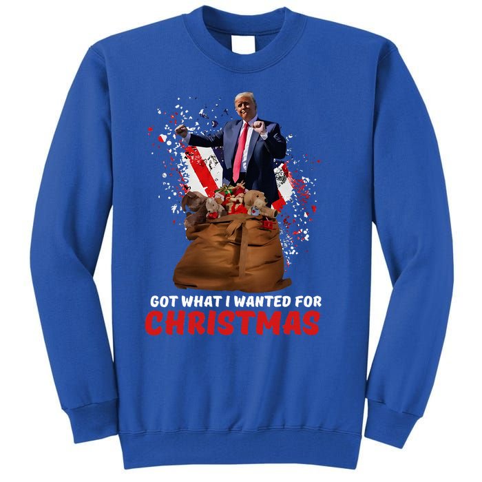 Got What I Wanted For Christmas Trump Won 2024 Tall Sweatshirt