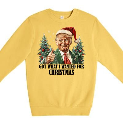 Got What I Wanted For Christmas Donald Trump Premium Crewneck Sweatshirt