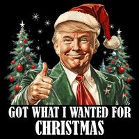 Got What I Wanted For Christmas Donald Trump Bucket Hat