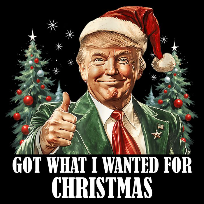 Got What I Wanted For Christmas Donald Trump Bucket Hat