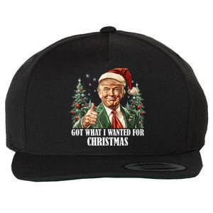 Got What I Wanted For Christmas Donald Trump Wool Snapback Cap