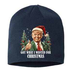 Got What I Wanted For Christmas Donald Trump Sustainable Beanie