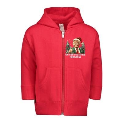 Got What I Wanted For Christmas Donald Trump Toddler Zip Fleece Hoodie