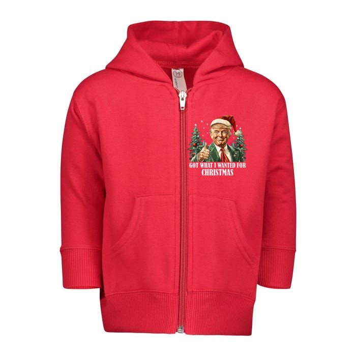 Got What I Wanted For Christmas Donald Trump Toddler Zip Fleece Hoodie