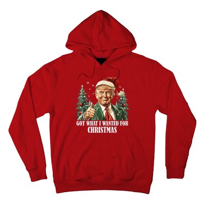 Got What I Wanted For Christmas Donald Trump Hoodie