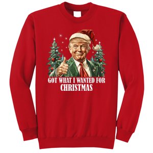 Got What I Wanted For Christmas Donald Trump Sweatshirt