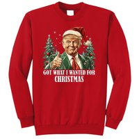 Got What I Wanted For Christmas Donald Trump Sweatshirt