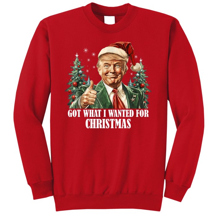 Got What I Wanted For Christmas Donald Trump Sweatshirt