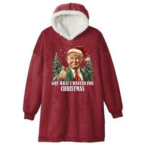 Got What I Wanted For Christmas Donald Trump Hooded Wearable Blanket